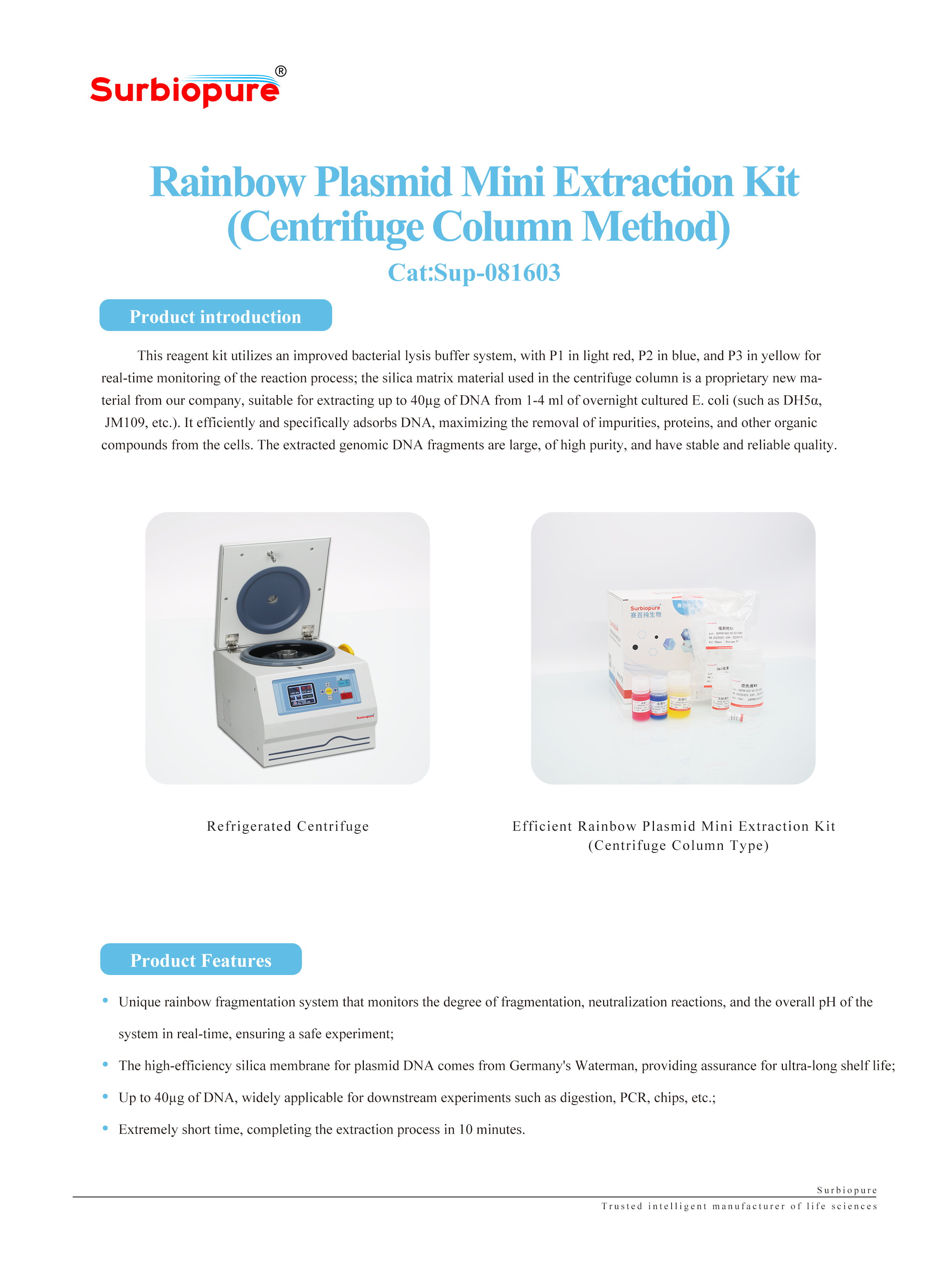 1736993695466464.jpg 畫(huà)板 25.jpg