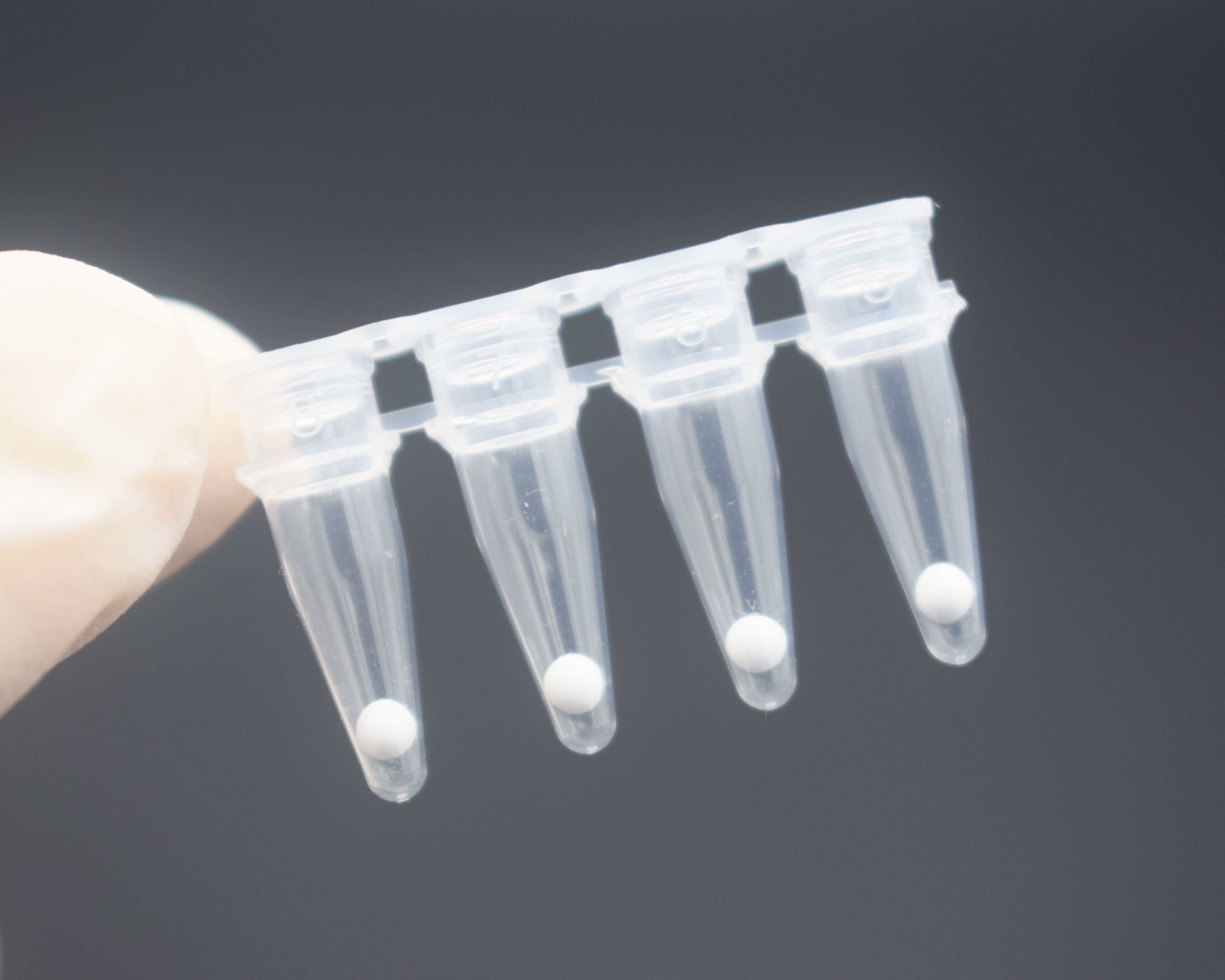 1750657586797034.jpg DSC_3721-1.jpg